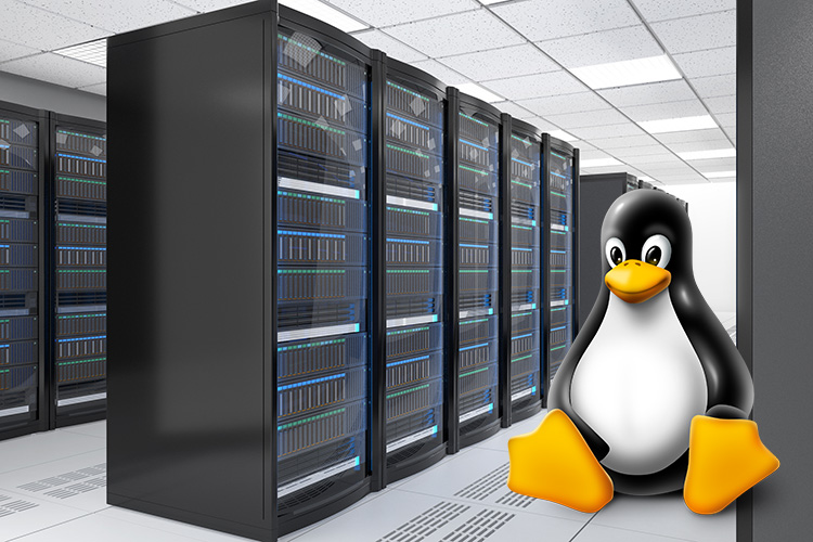 Top 7 Mejores Servidor Linux Distribuciones